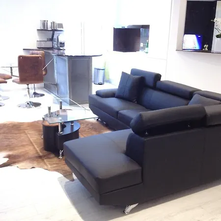 Luxueux Loft 公寓